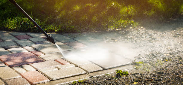 Animal Enclosure Cleaning in Monterey, CA